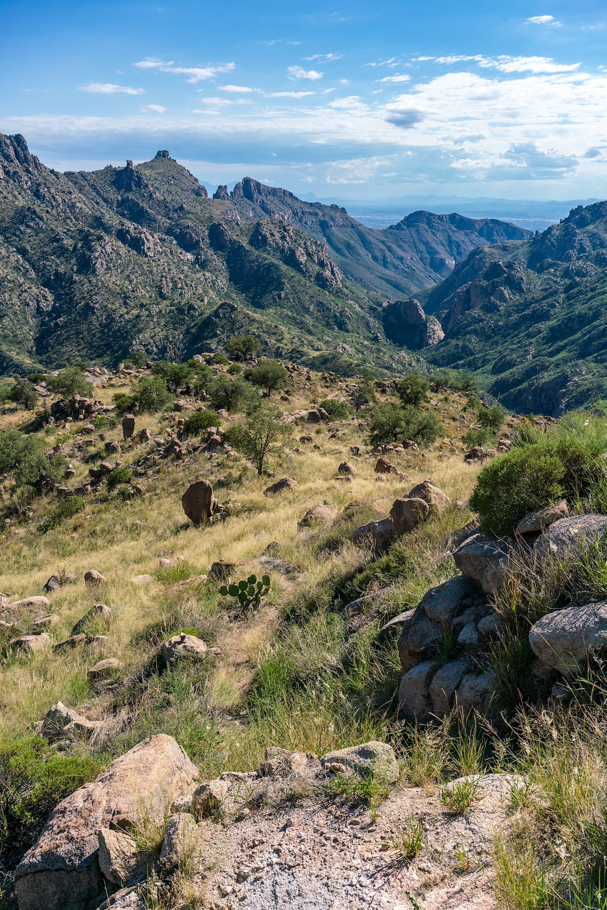 2018 September Grassy Hillsides down into Sabino Canyon on the Box Camp Trail