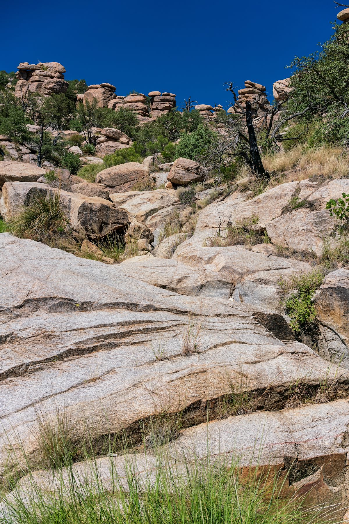 2018 September Just above the Canyon Crossing in the middle of the Box Camp Trail