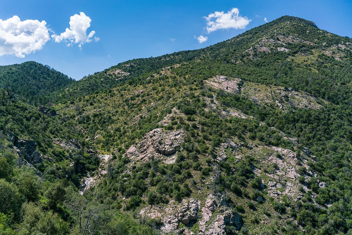 2018 September Looking into the upper reaches of Stratton Canyon from FR4401