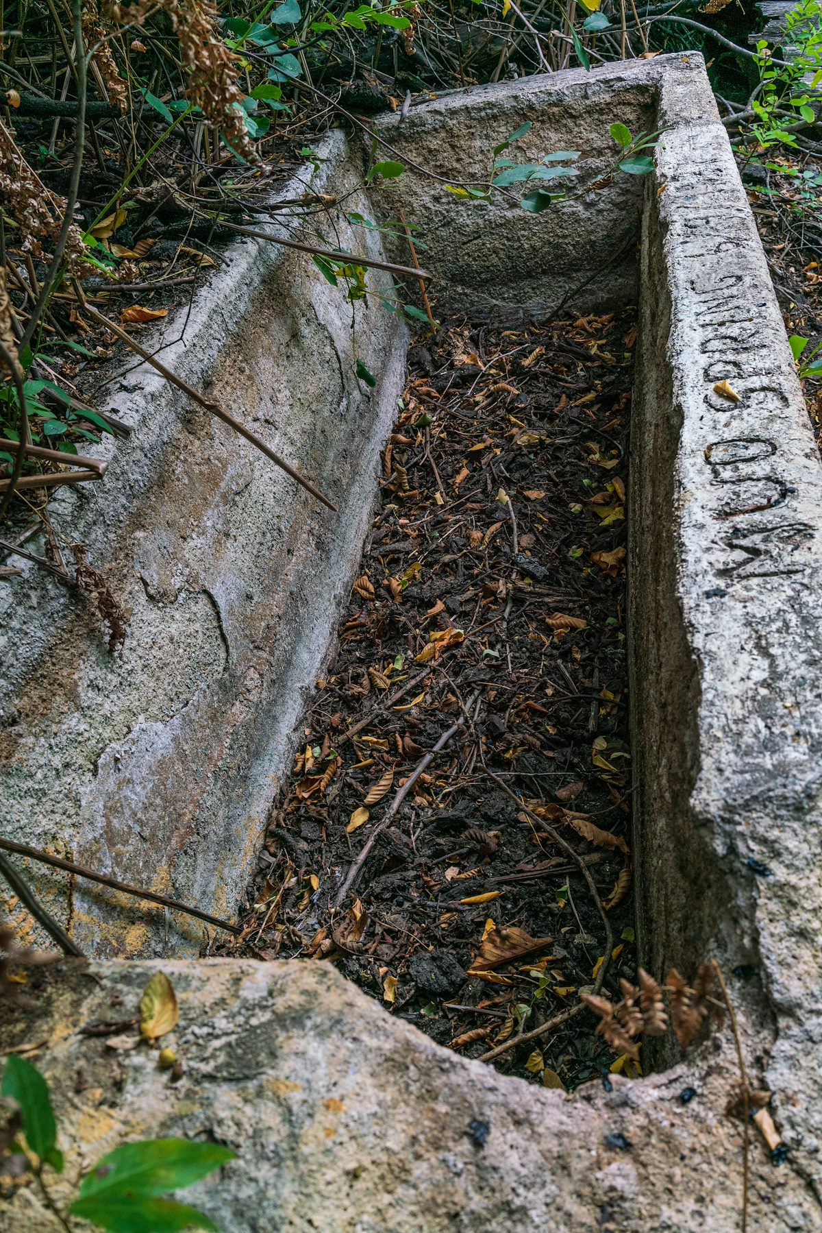 2018 September Mud Spring Tank - Dry