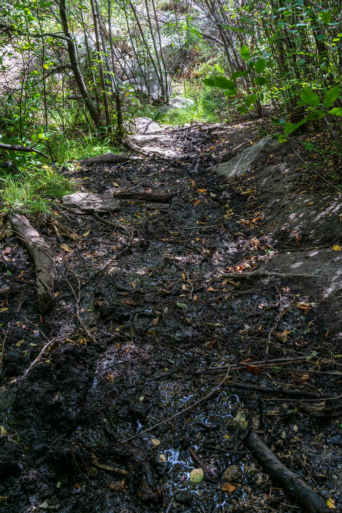 2018 September Muddy Palisade Trail below Mud Spring
