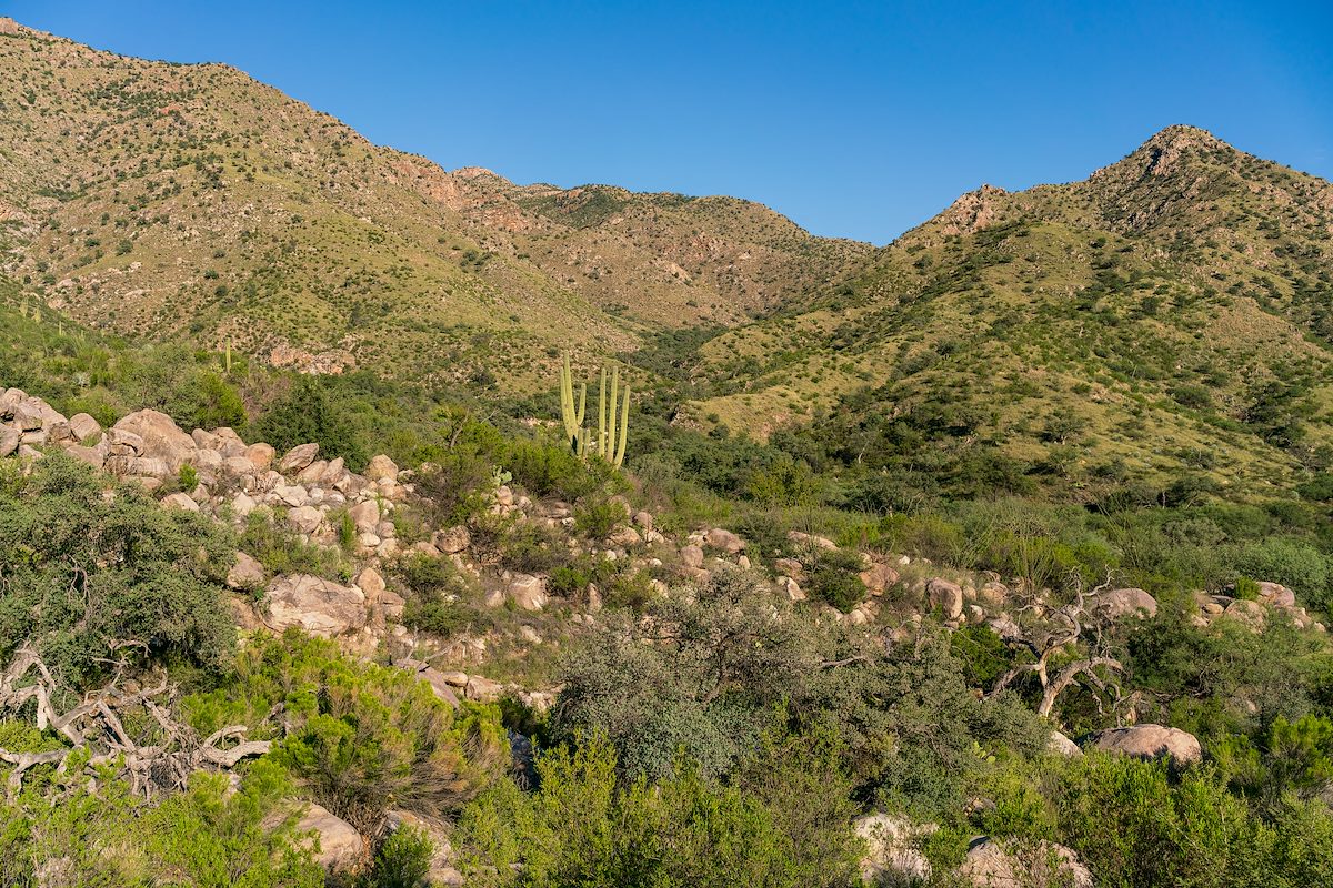 2018 September On the West Fork Trail looking towards the East Fork of Sabino