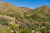 2018 September On the West Fork Trail looking towards the East Fork of Sabino
