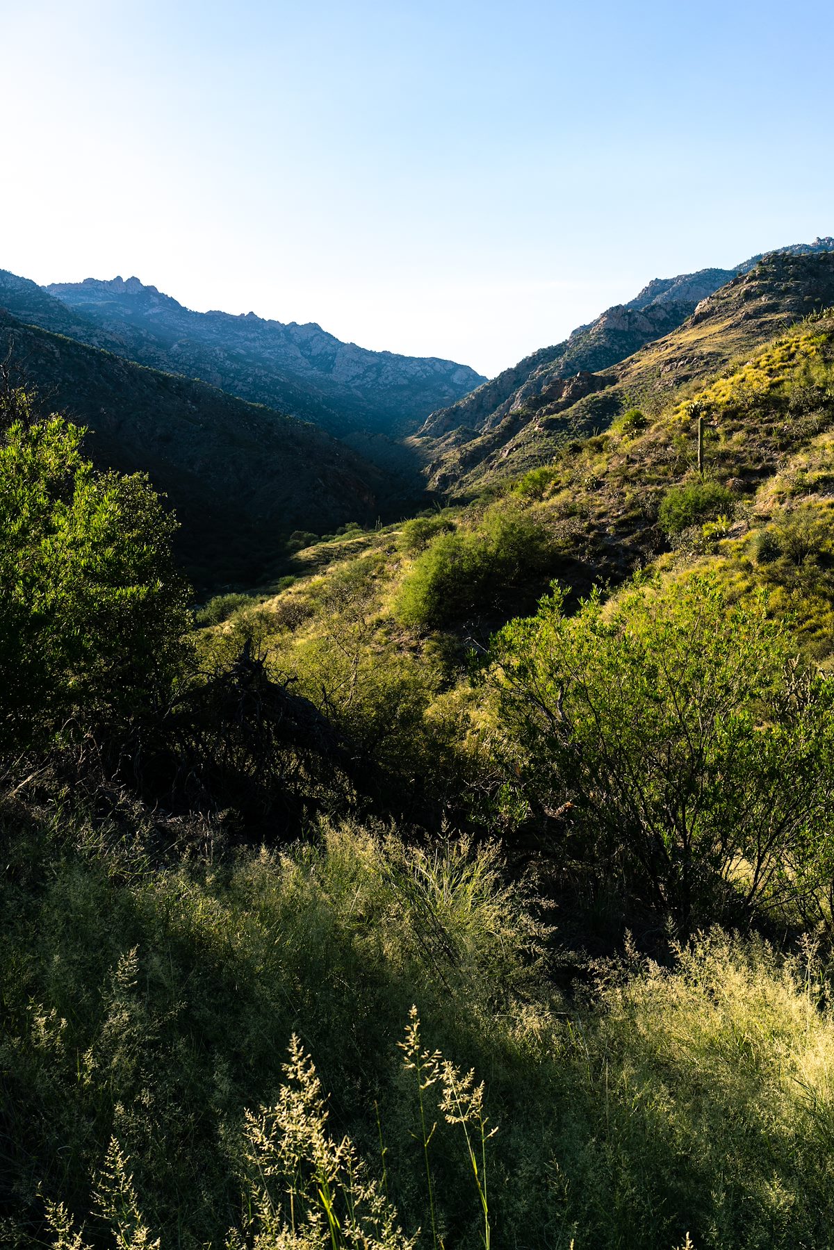2018 September Sun and Shade on the West Fork Trail