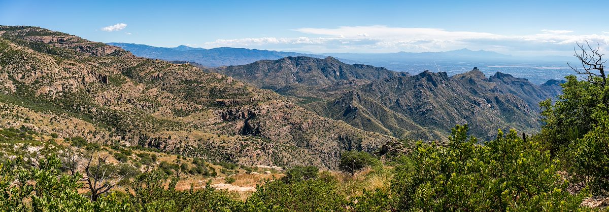 2018 September View From a Ridgetop section of the Box Camp Trail