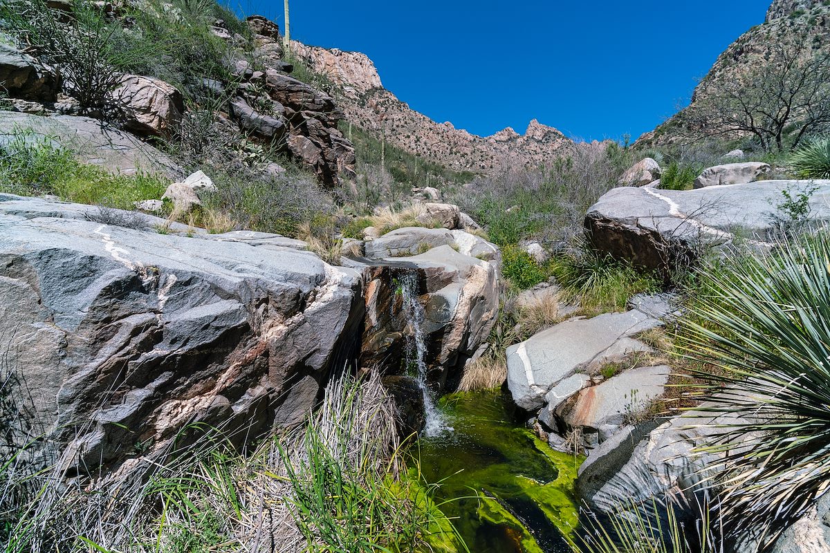 2019 April Above the Dam in Pima Canyon
