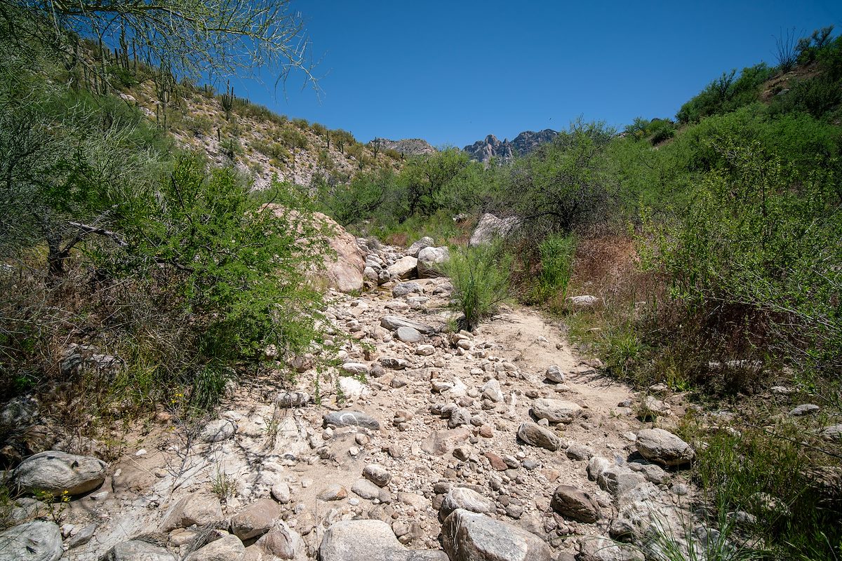 2019 April Alamo Canyon