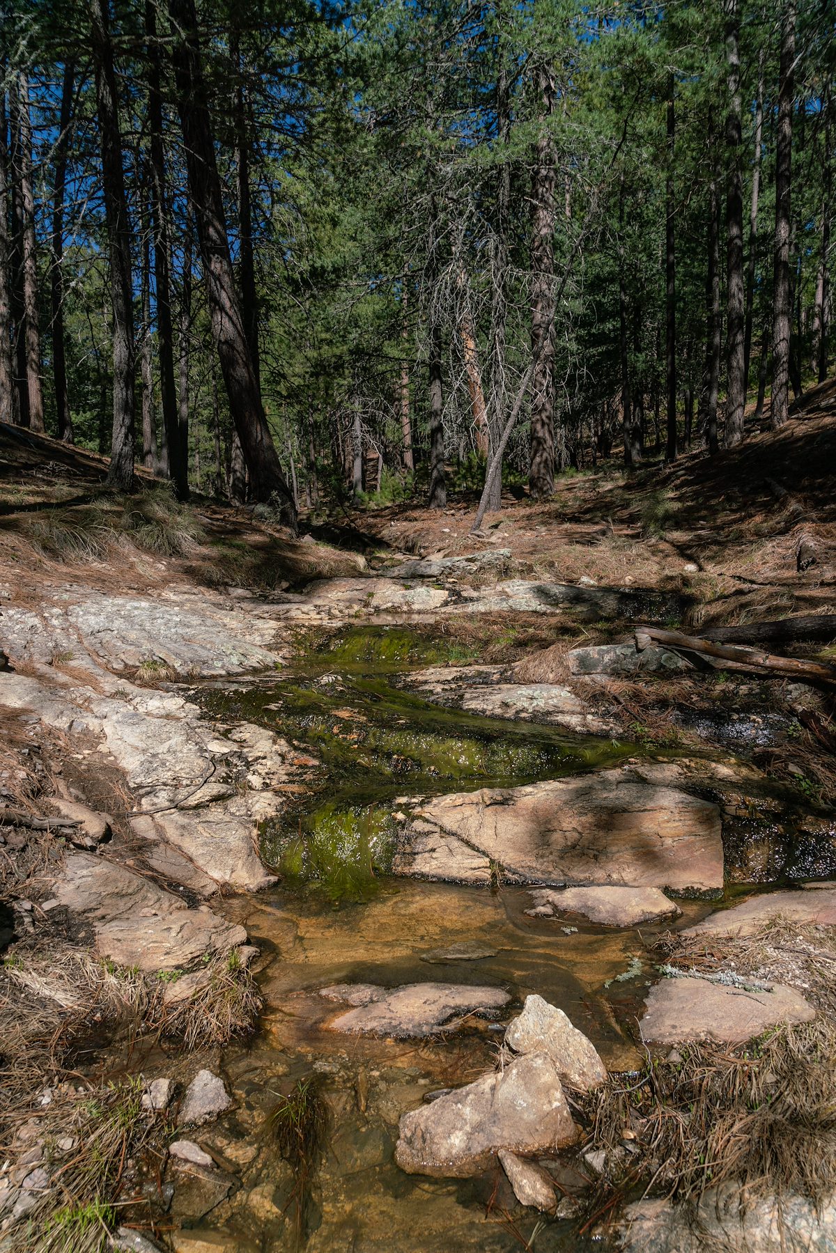 2019 April April Water along the Box Camp Trail