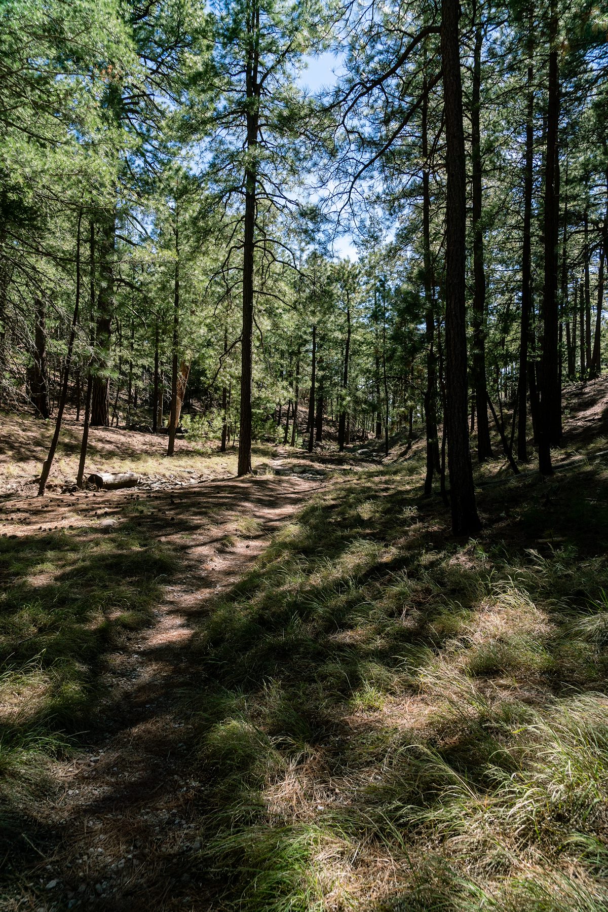2019 April Box Camp Trail