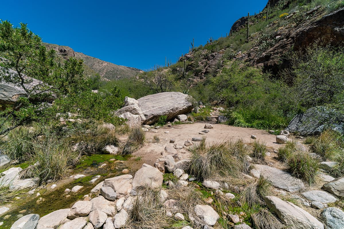 2019 April First Pima Canyon Crossing on the Pima Canyon Trail