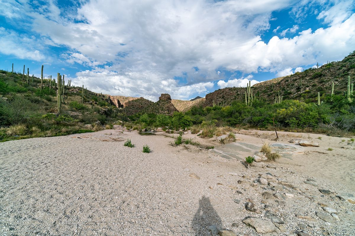 2019 April Mouth of Agua Caliente and La Milagrosa Canyons
