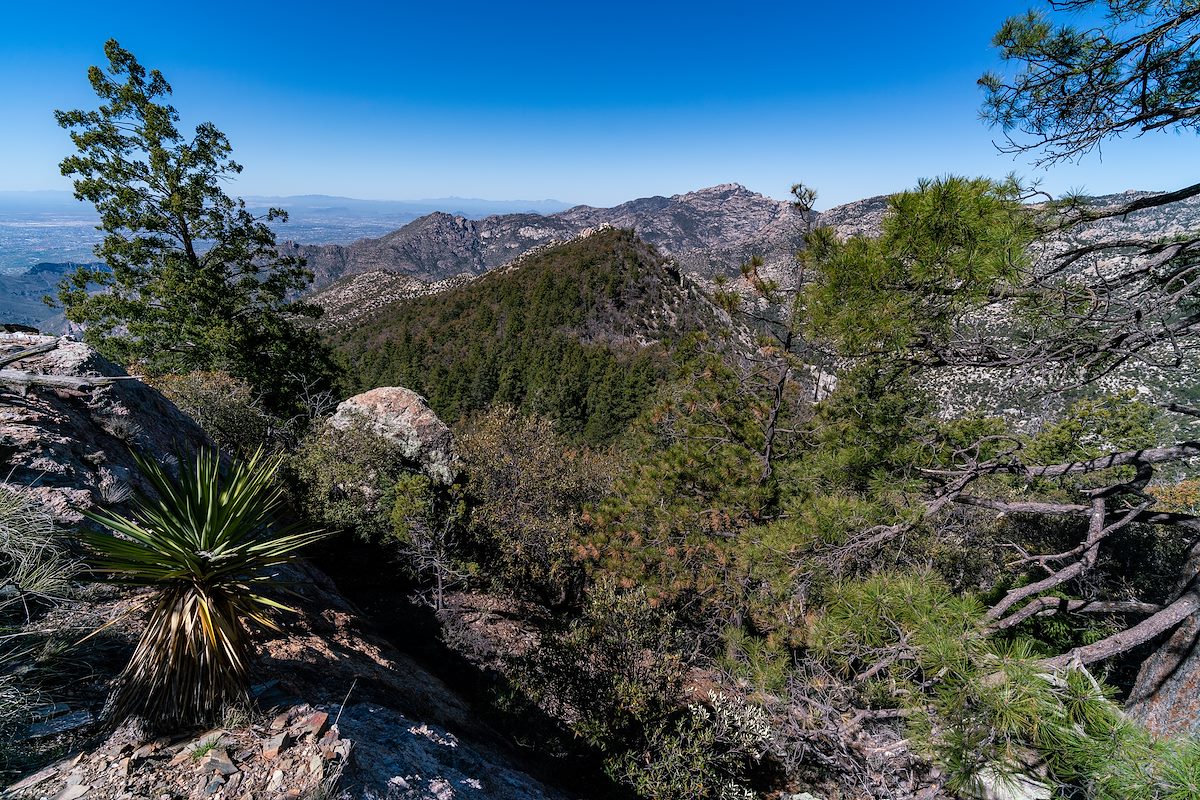 2019 April On the Ridge Looking towards Brinkley Point