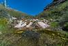 2019 April Water in Pima Canyon