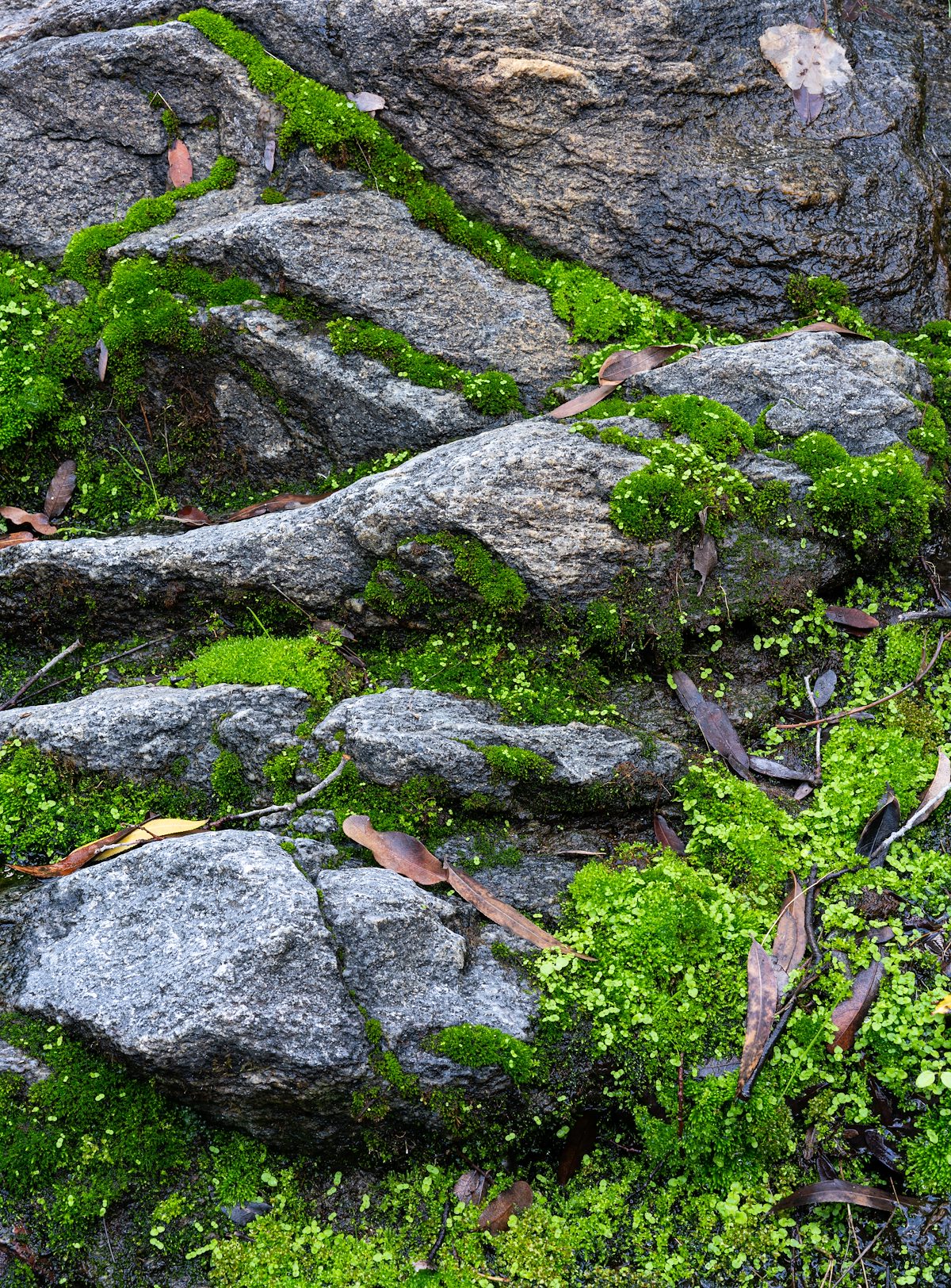 2019 December Dead Horse Canyon