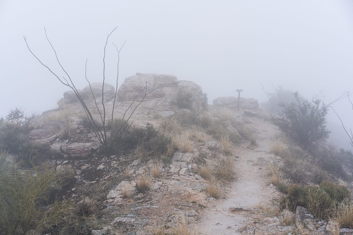 2019 December In the Clouds at the End of the Blacketts Ridge Trail
