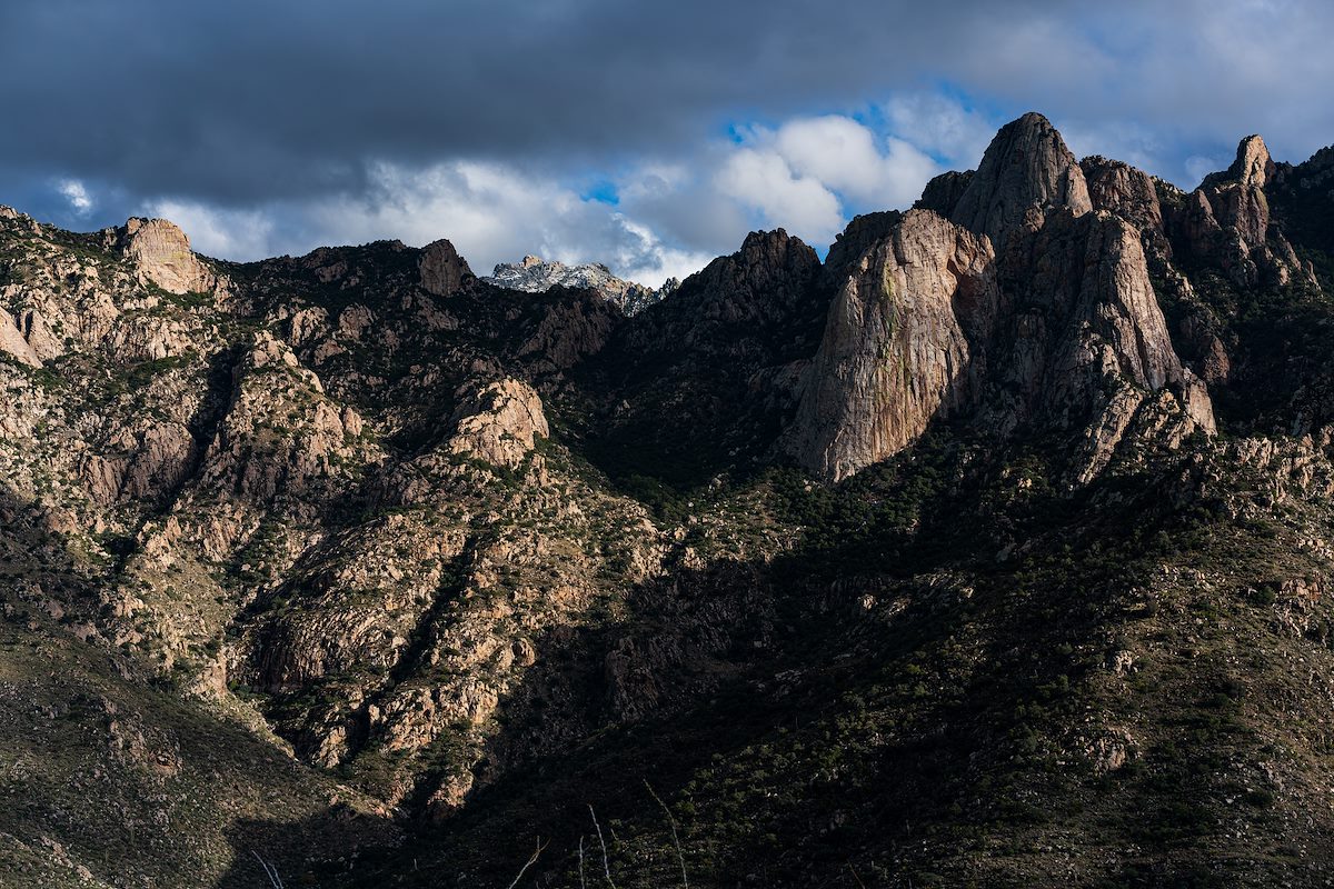 2019 December Leviathan