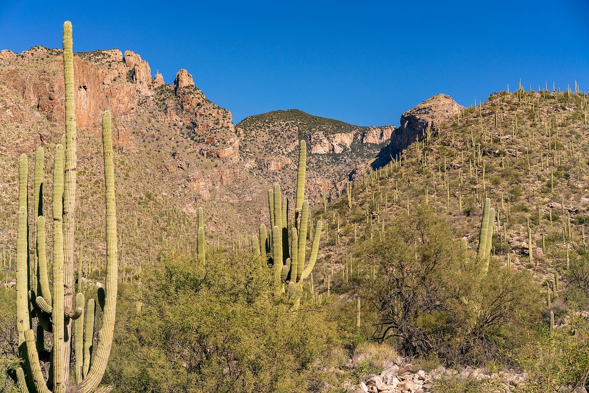 2019 December Looking up Finger Rock Canyon with the Finger on the left and Point 5730 on the right