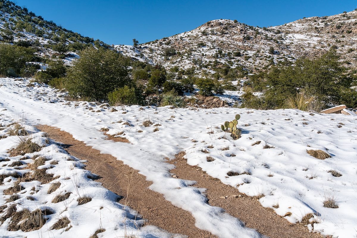2019 December Molino Basin and Shreve Saddle