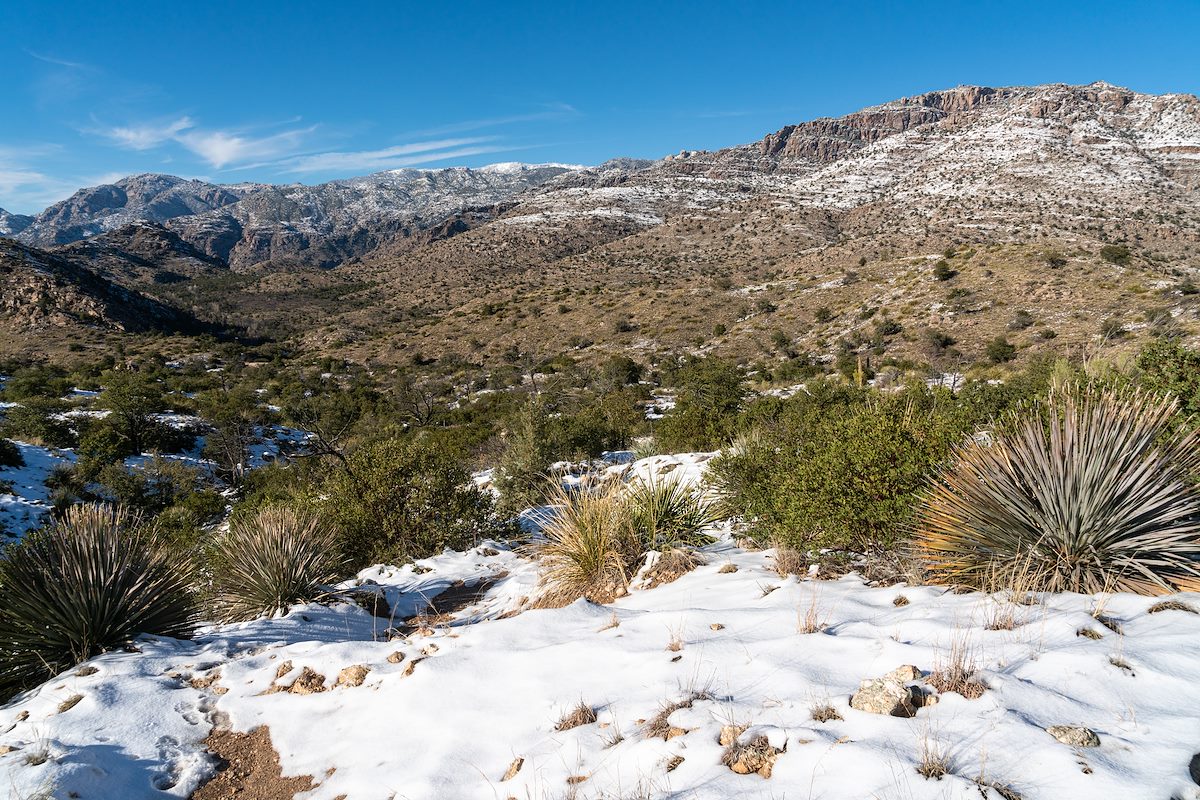 2019 December Snow on the Sycamore Reservoir Trail