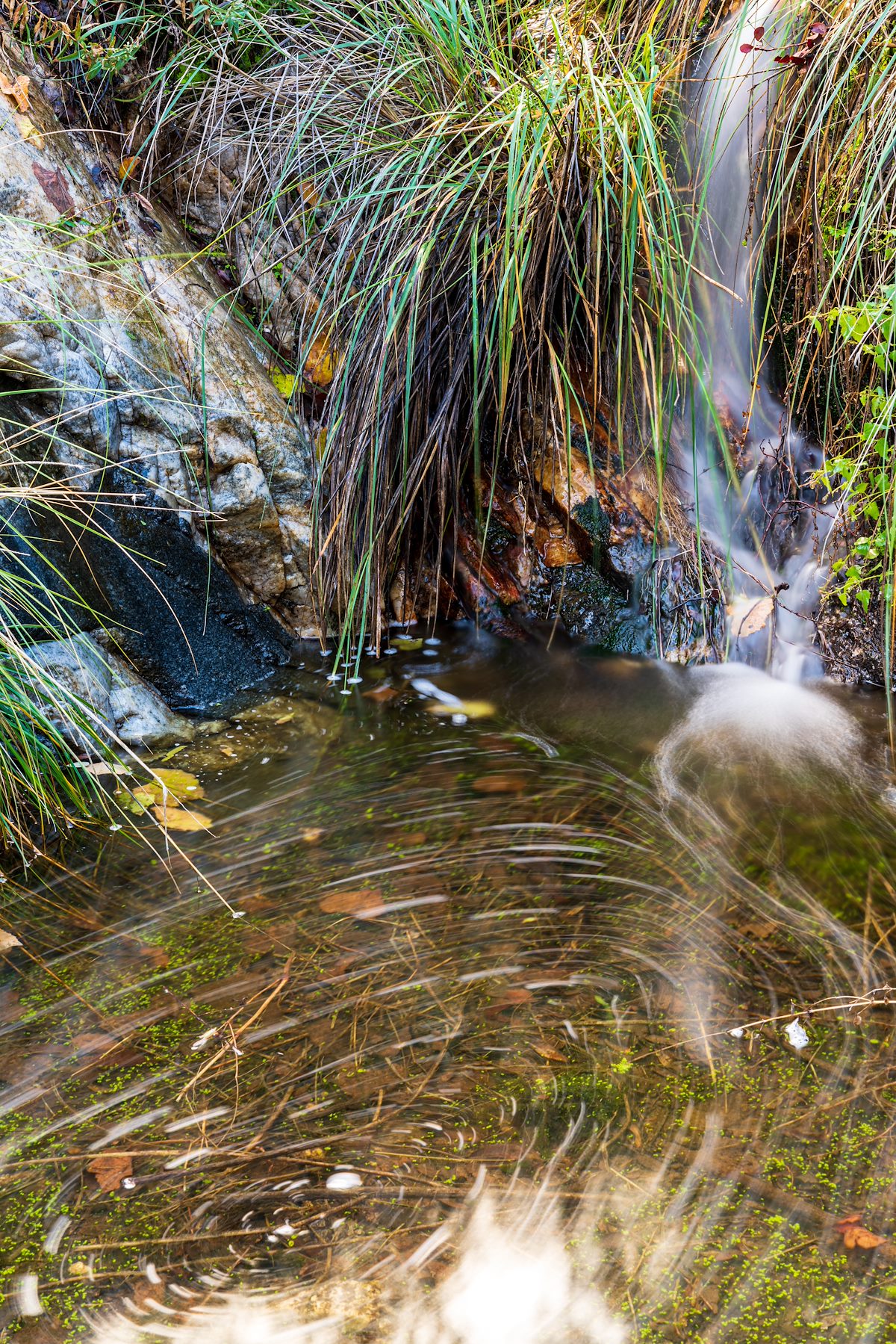 2019 December Swirling Pool in Dead Horse Canyon