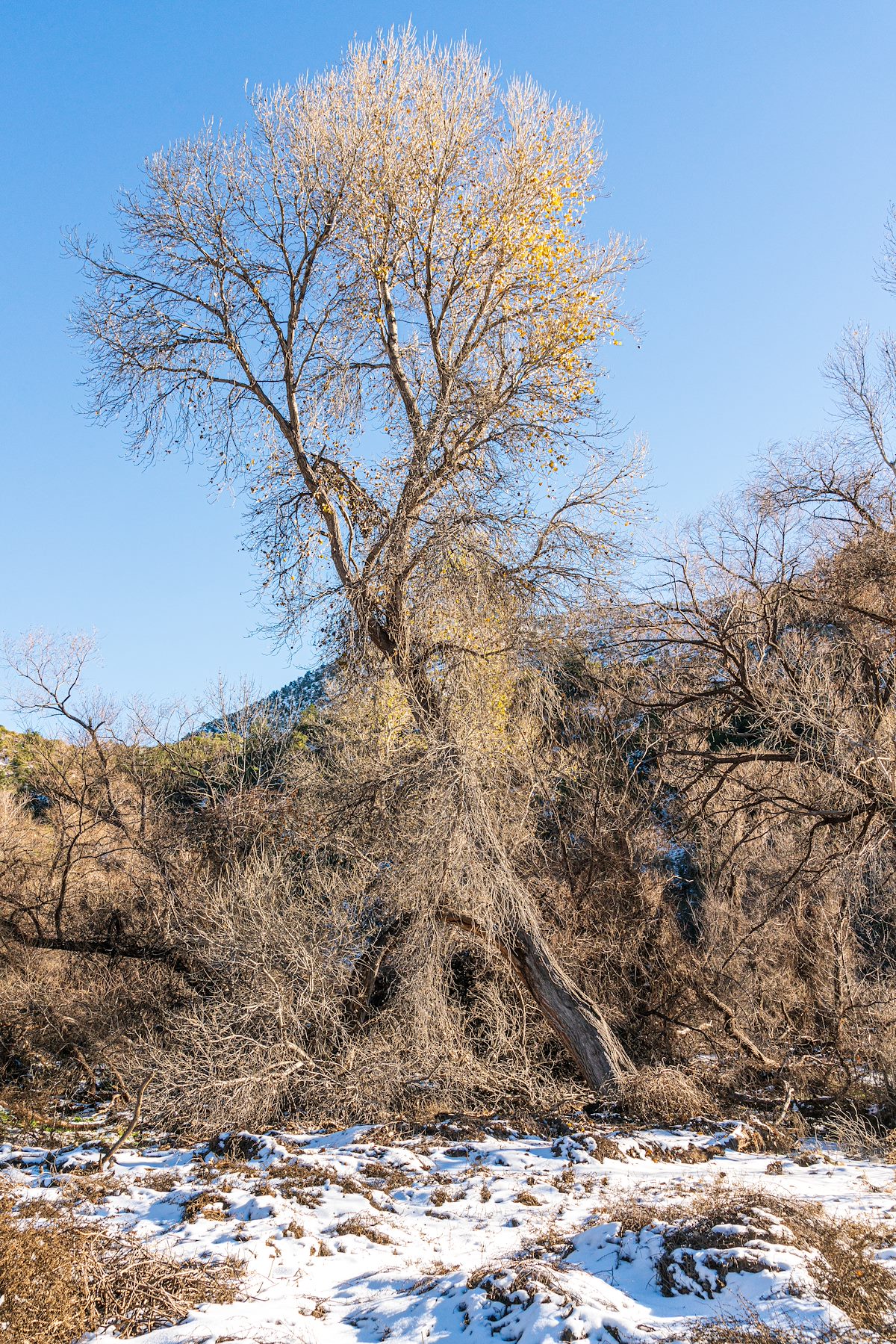 2019 December Sycamore Reservoir Area
