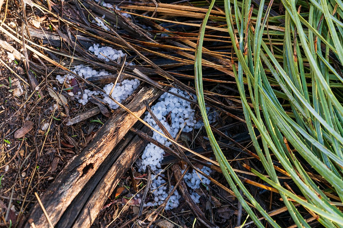 2019 December Winter Storm remnants on Point 4262