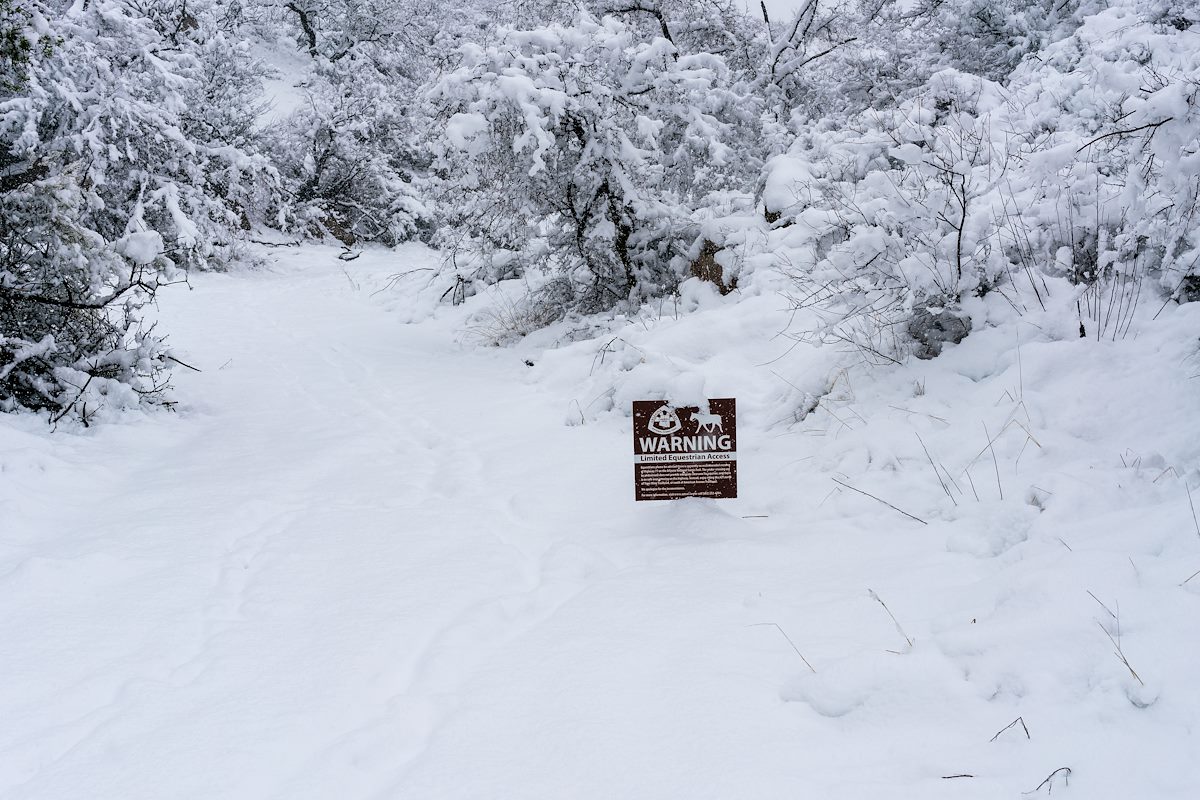 2019 February AZT Equestrain Warning sign in the Snow