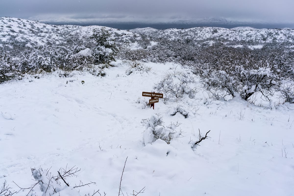 2019 February Bellota Trail Loop and Mariposa Trail Junction