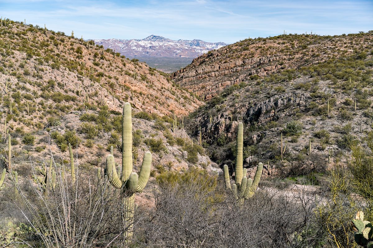 2019 February Edgar Canyon Looking towards the San Pedro River Valley with Bassett Peak in the Distance
