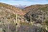 2019 February Edgar Canyon Looking towards the San Pedro River Valley with Bassett Peak in the Distance