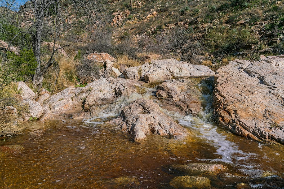 2019 February Flowing water in Agua Caliente Canyon