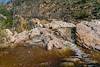 2019 February Flowing water in Agua Caliente Canyon