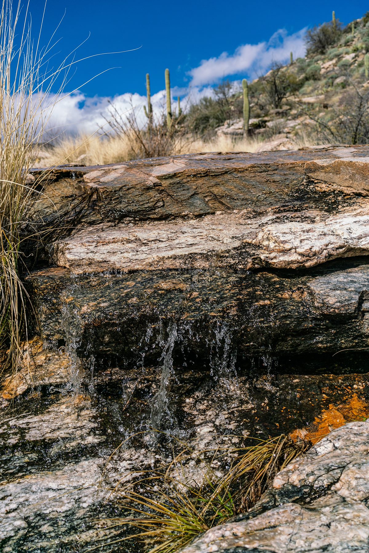 2019 February Flowing water near the Soldier Trail