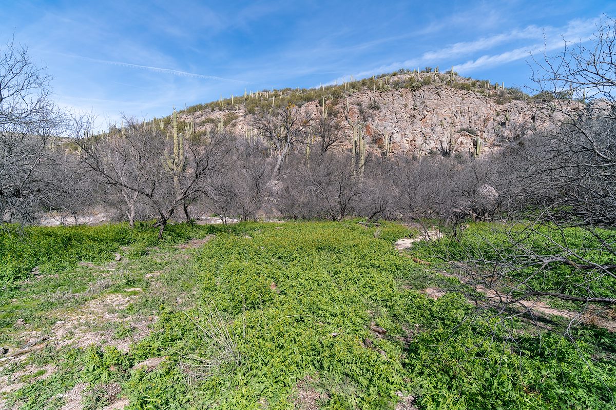 2019 February London Rockets and Cliffs above Edgar Canyon