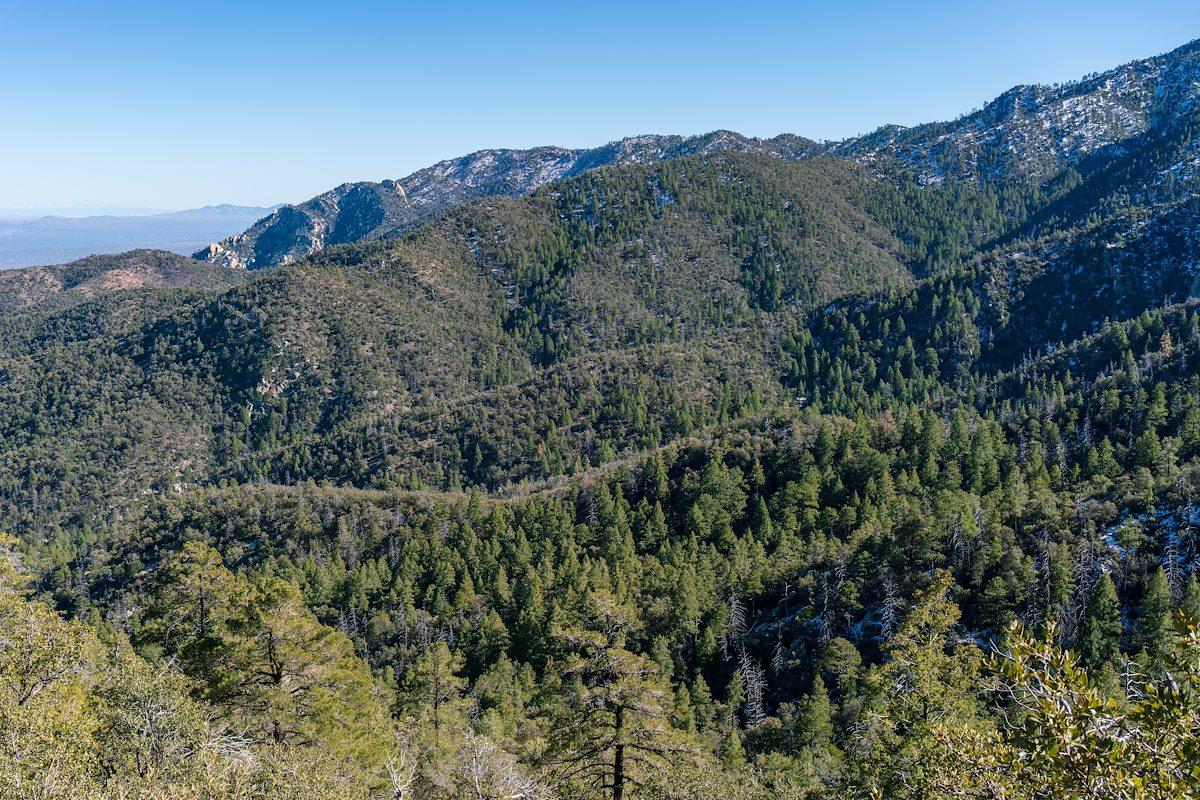2019 February Looking towards Guthrie Mountain from the Knagge Trail
