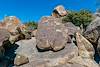 2019 February Petroglyphs 01