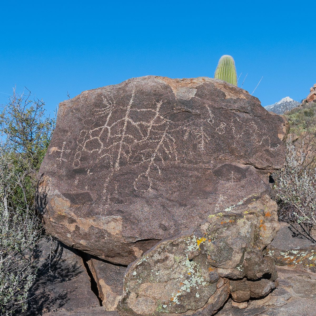 2019 February Petroglyphs 03