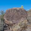 2019 February Petroglyphs 03