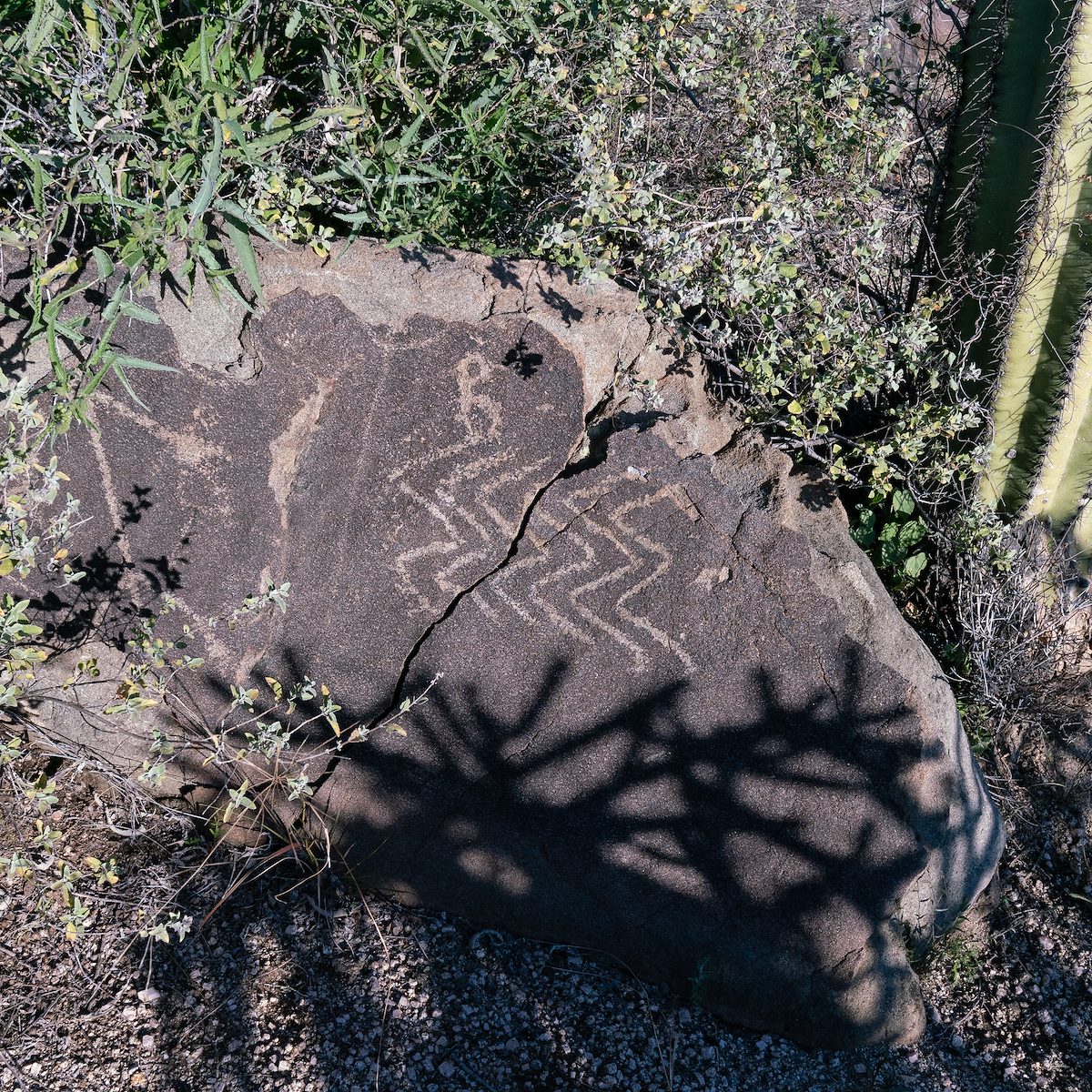 2019 February Petroglyphs 04