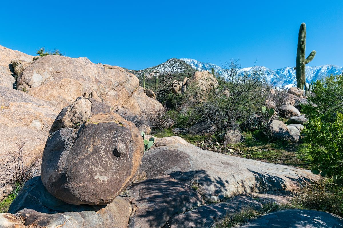 2019 February Petroglyphs with Snowy Santa Catalina Mountains in the Background