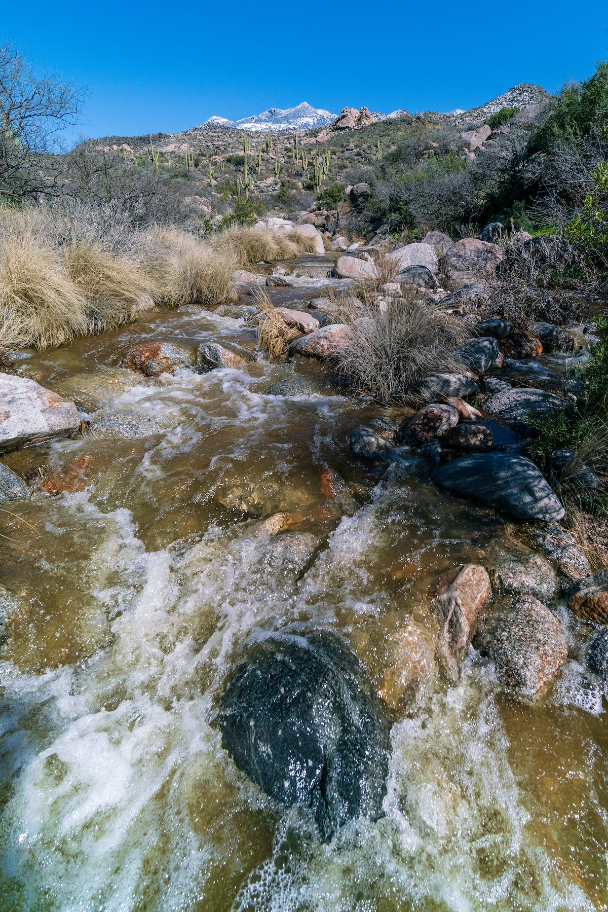 2019 February Rushing Water in Sutherland Wash