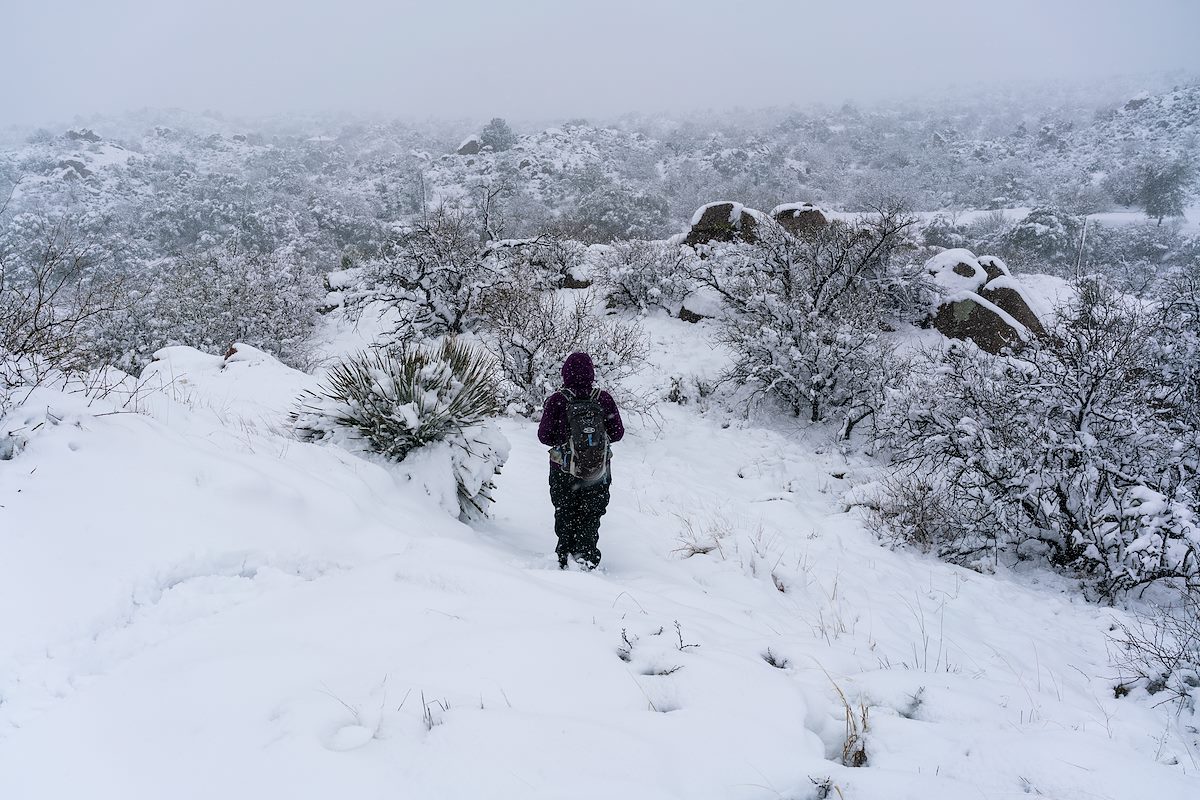 2019 February Snow on the Mariposa Trail 02