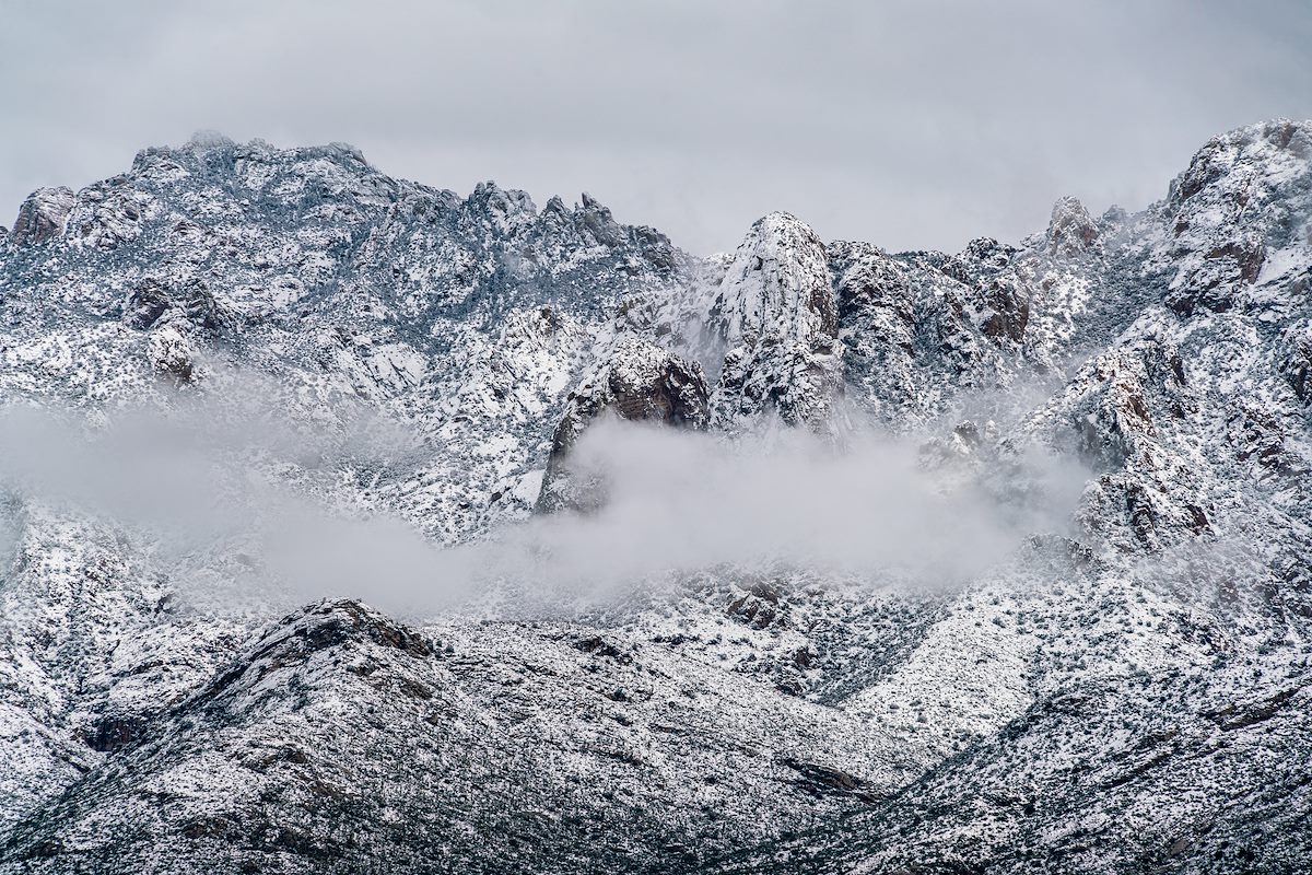 2019 February Snow on Wilderness Dome