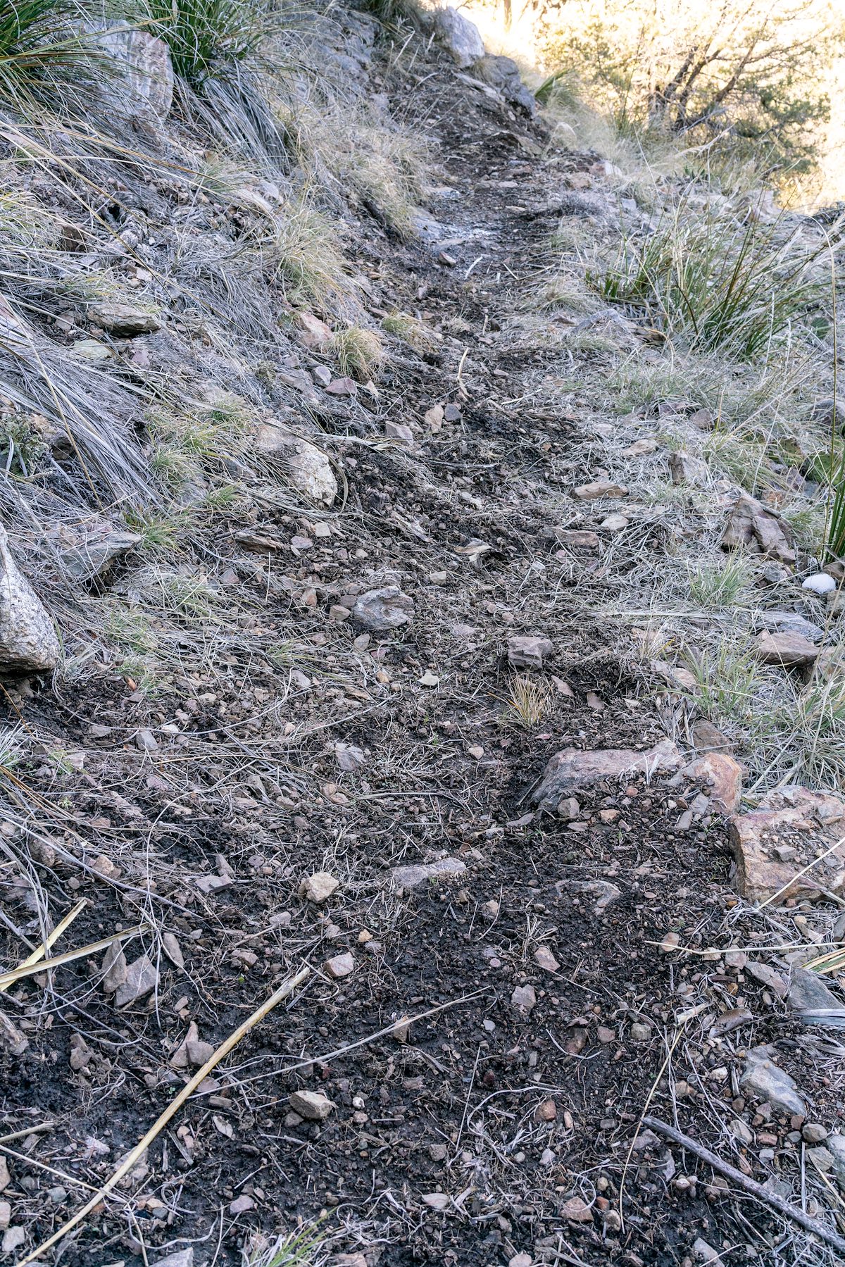 2019 February Trail work on the Knagge Trail