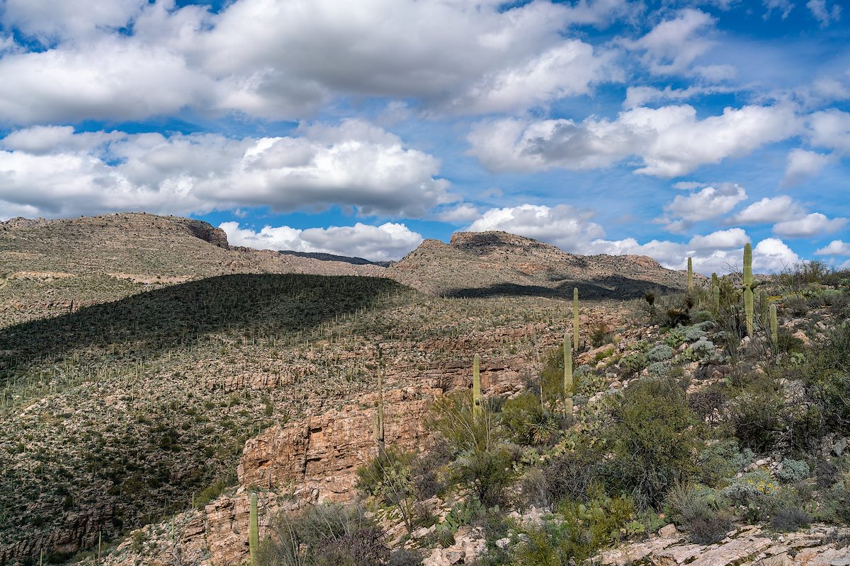 2019 February View towards Weathertop from the Agua Caliente Canyon Trail