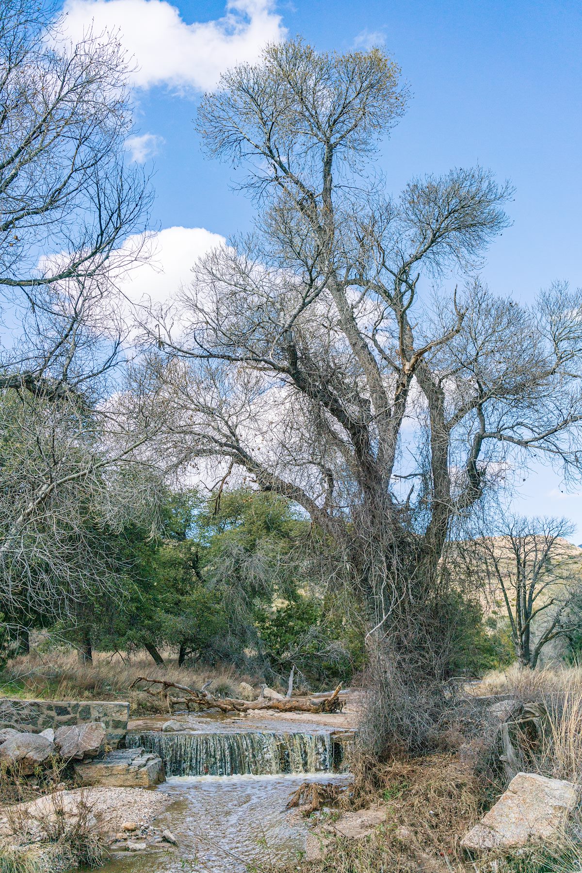 2019 February Water flowing across the Molino Basin Trail 01