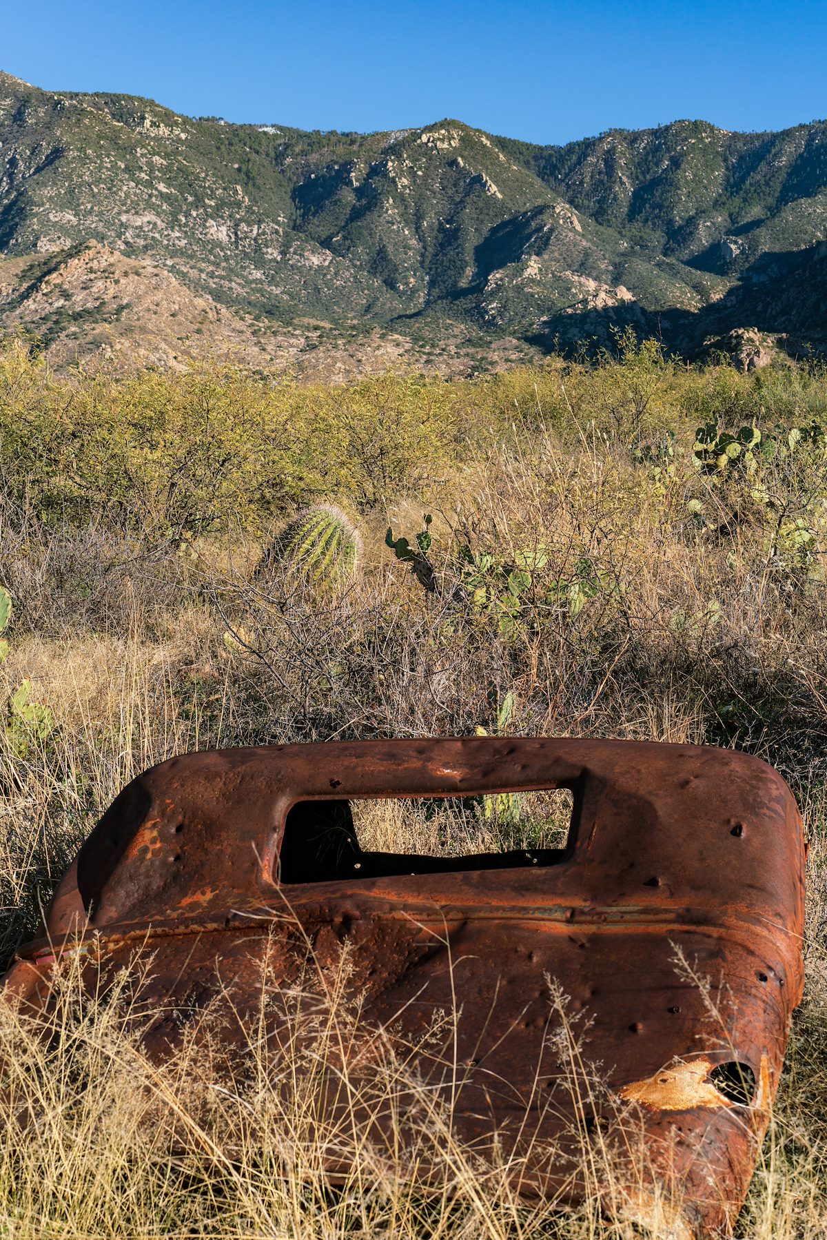 2019 January Abandoned