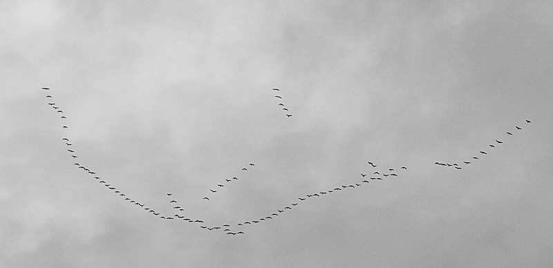 2019 January Above Oracle State Park