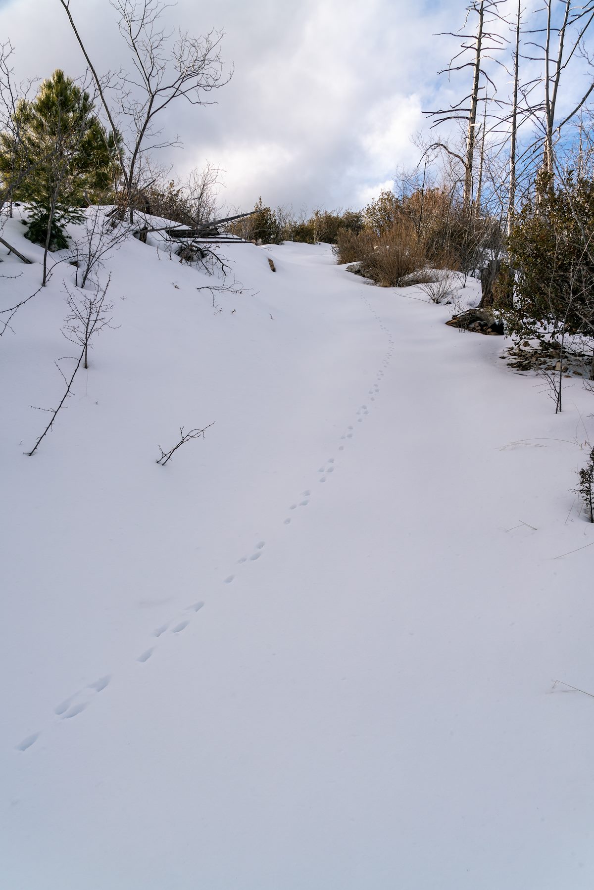 2019 January Beyond the Water Tank