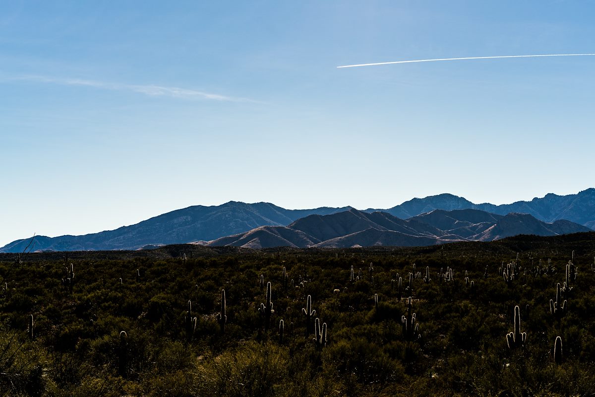 2019 January Evans Mountain